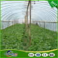 Anti-uv 200 micron greenhouse film for planting fruits and vegetables